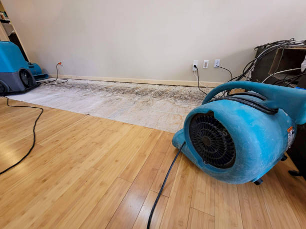 Reliable Crawl Space Water Removal contractor in Van Nuys, CA by Hirex Water Damage